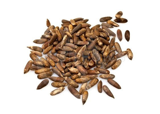 Black Chilghoza Afghani (Pine Nut)