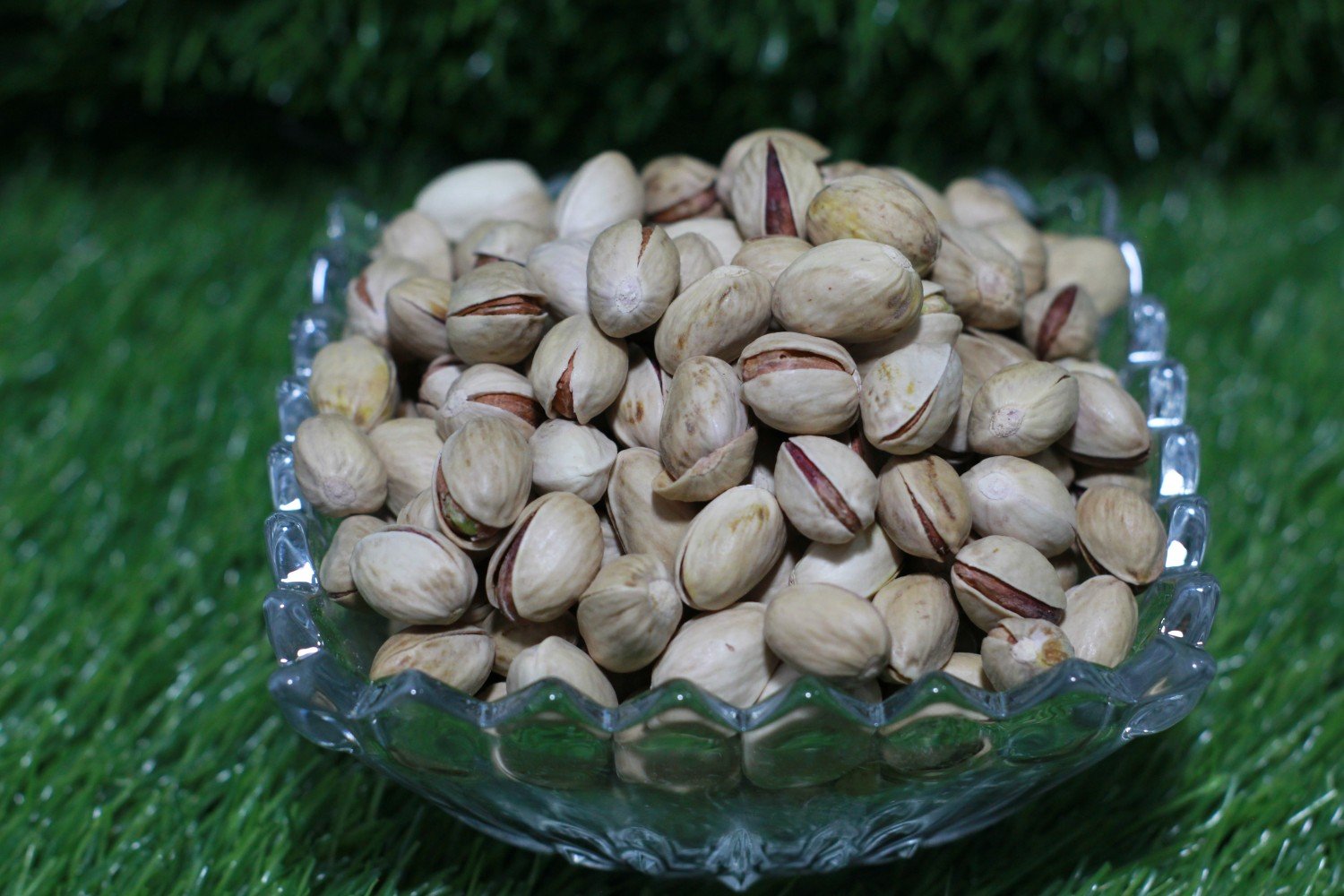 Gol Pista Plain ( Irani Pistachio )