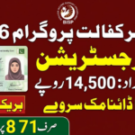 Benazir Kafaalat New Survey Registration