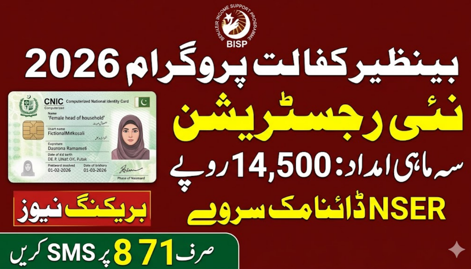 Benazir Kafaalat New Survey Registration