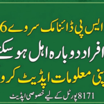 BISP Dynamic Survey