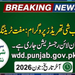 CM Punjab She Threads Program