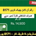 How to Check 8171 Money Online by CNIC?