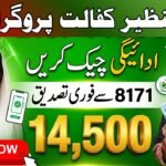 BISP 14500 Payment Status