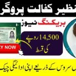 How to Check BISP Balance Online by CNIC